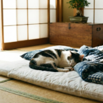 【迷子猫】12月の冷え込みの中…家族で乗り越えた臆病な猫の保護劇
