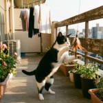 【迷子猫の実録】姿を消した2日間──見つけられなかった理由と、プロが導いた“意外な隠れ場所”