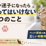 【岡山県倉敷市】猫が迷子になったらやってはいけない3つのこと｜ペット探偵が教える正しい初動対応