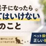 【石川県津幡町】猫が迷子になったらやってはいけない3つのこと｜ペット探偵が教える正しい初動対応