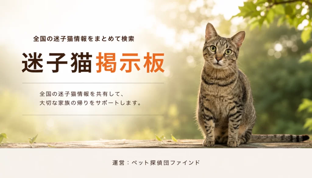 全国の迷子猫情報を共有している。大切な家族の帰りをサポートする。各地域の掲示板情報をまとめて探しやすくしている