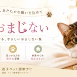 猫が帰ってくるおまじない20選｜不安な夜にそっと試せる祈り方