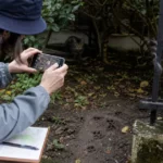 猫の痕跡の見つけ方｜毛・フン・足跡から居場所を絞る