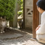 長毛・短毛・体格で猫の探し方は変わる？タイプ別のヒント