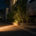 夜の猫探しのコツ｜迷子猫が見つかる時間帯と夜間捜索の正しい方法