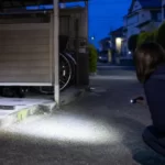 黒猫・暗い毛色は見つけにくい？夜間の視認と捜索の工夫