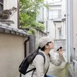 猫は上下にも隠れる｜高い所・狭い所を含む立体的な探し方