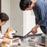 犬が他人に保護された｜返してもらう手順とトラブル回避・お礼