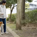 多頭飼いで1頭だけ脱走｜残った犬を使った探し方