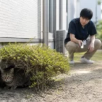 ペットホテルや動物病院から猫が脱走したら｜施設の周りを探す理由と今すぐの初動