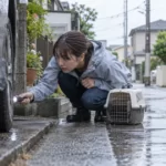 千葉県で迷子ペットを探す方法｜掲示板・SNS・捜索のコツと相談先