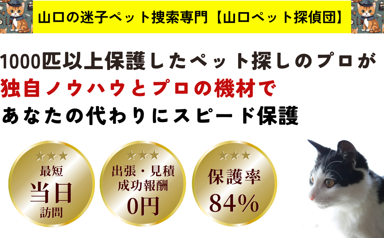 PCメインビジュアルの画像