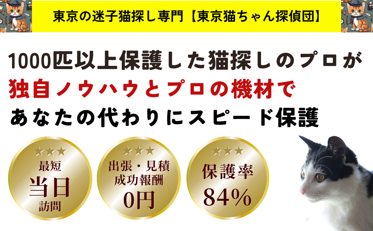 PCメインビジュアルの画像