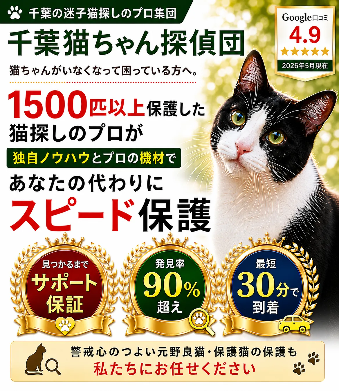 千葉県で迷子猫を探すペット探偵「千葉猫ちゃん探偵団」。1500匹以上の保護実績、猫発見率90％超、最短30分で到着。