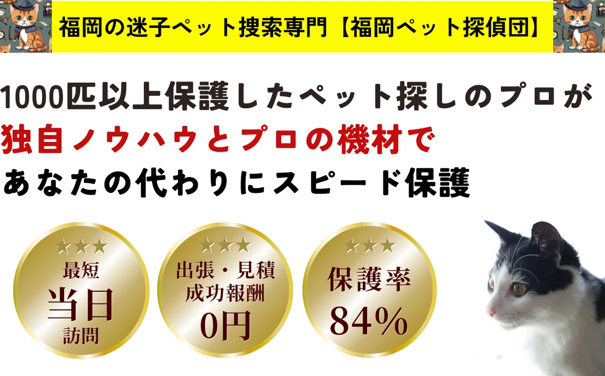 PCメインビジュアルの画像