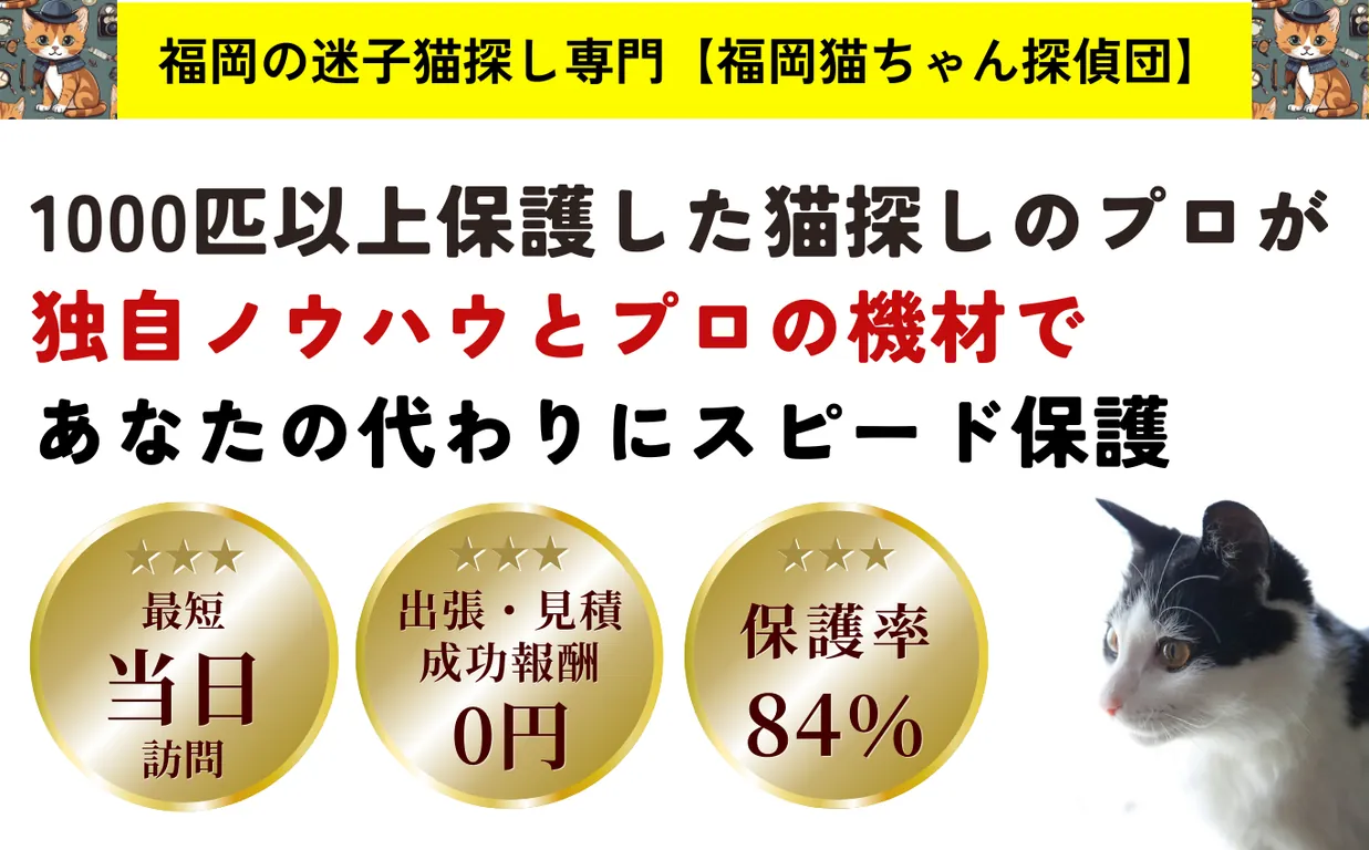 PCメインビジュアルの画像