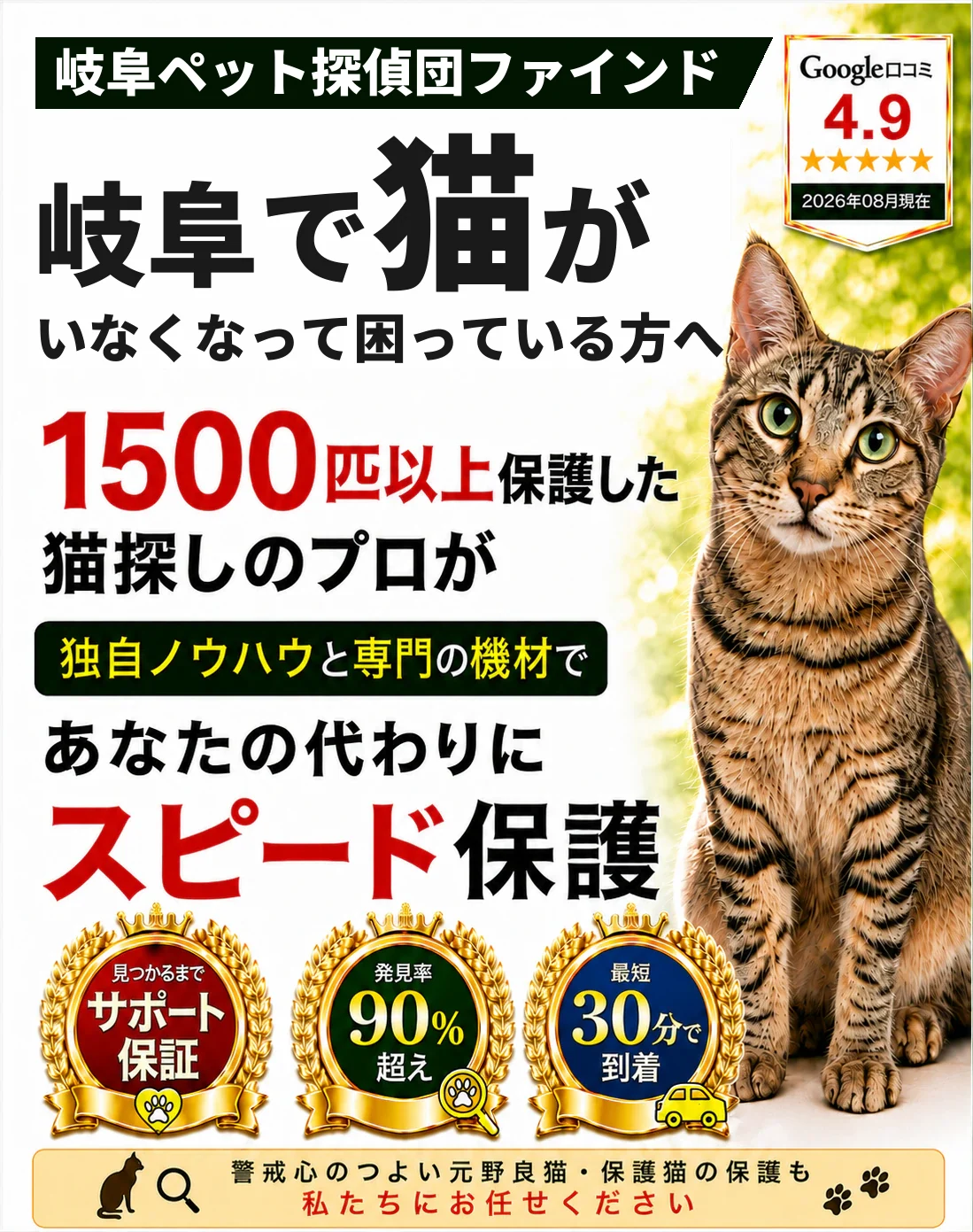 岐阜ペット探偵団ファインド。1500匹以上を保護した猫探しのプロが、あなたの代わりにスピード保護します