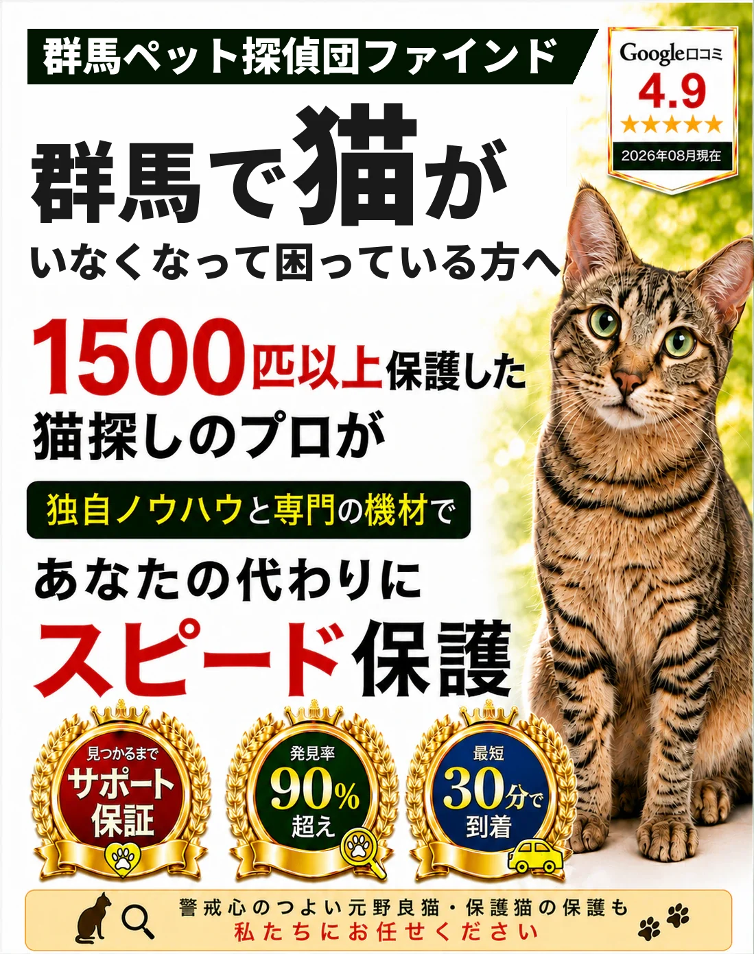 群馬ペット探偵団ファインド。1500匹以上を保護した猫探しのプロが、あなたの代わりにスピード保護します