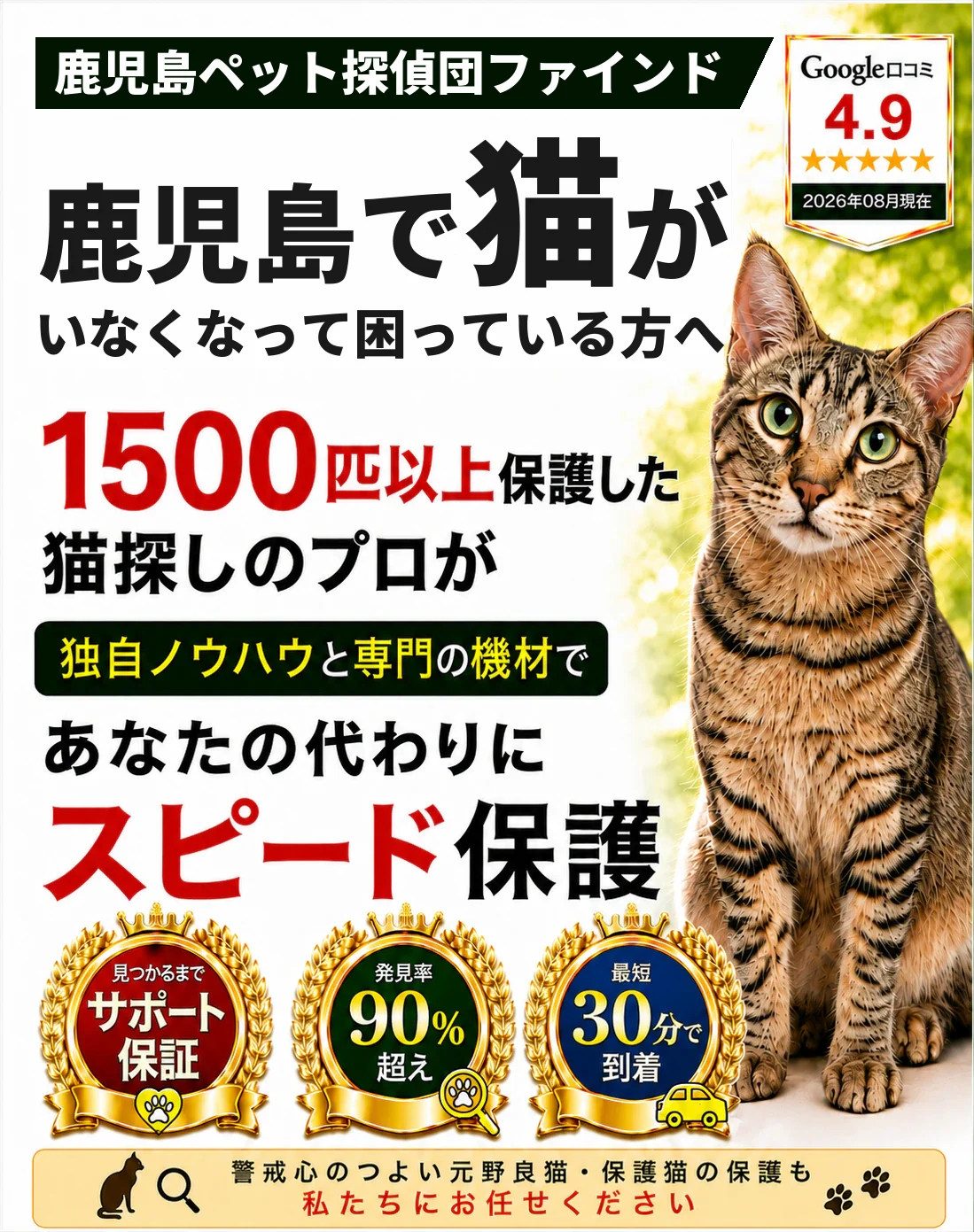 鹿児島ペット探偵団ファインド。1500匹以上を保護した猫探しのプロが、あなたの代わりにスピード保護します
