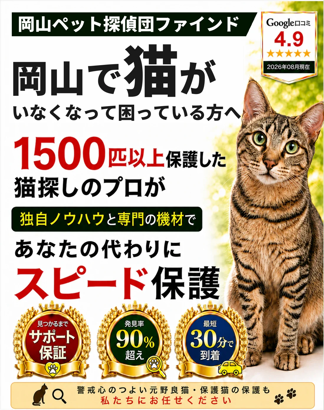 岡山ペット探偵団ファインド。1500匹以上を保護した猫探しのプロが、あなたの代わりにスピード保護します