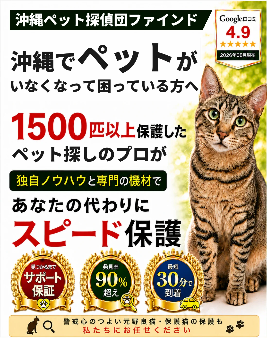 沖縄ペット探偵団ファインド。1500匹以上を保護したペット探しのプロが、あなたの代わりにスピード保護します
