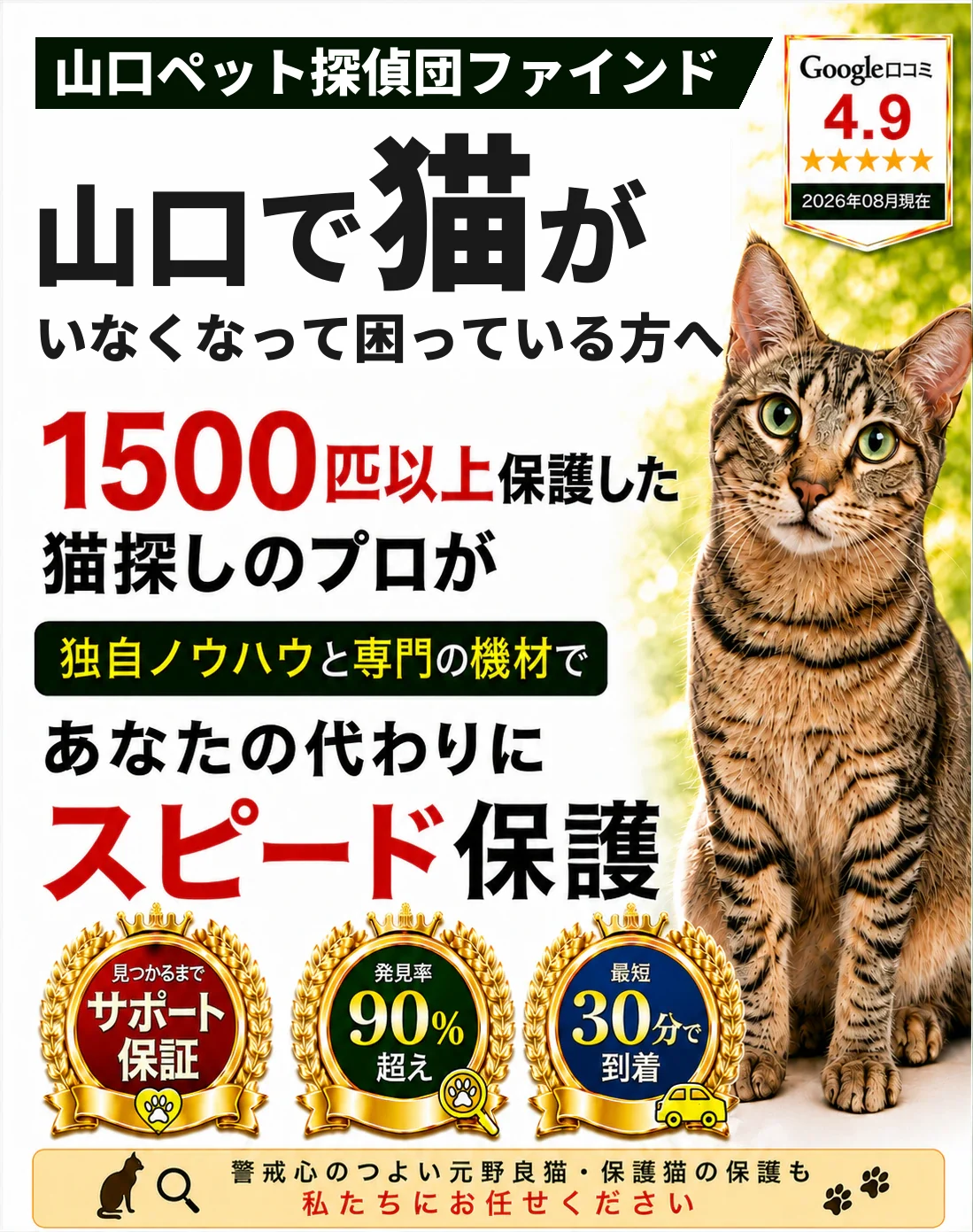 山口ペット探偵団ファインド。1500匹以上を保護した猫探しのプロが、あなたの代わりにスピード保護します