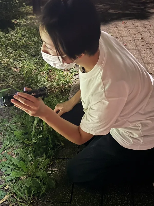 捜索員 西方（夜間、ライトで草むらを確認）